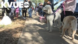 Free Rabies Shots Offered In Hays County After Outbreak