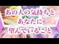 【何かありました?】【もどかしさ】【頑固】【無反応】【お相手様に対して辛口あり🦉】タロット恋愛占い✨相手の気持ち🧚♀️片思い複雑恋愛💟ルノルマンオラクル🌈詳細カードリーディング