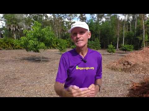 How To Get Rid Of Allergies And Hay Fever Naturally Cleansing Food Education On Food Vegan