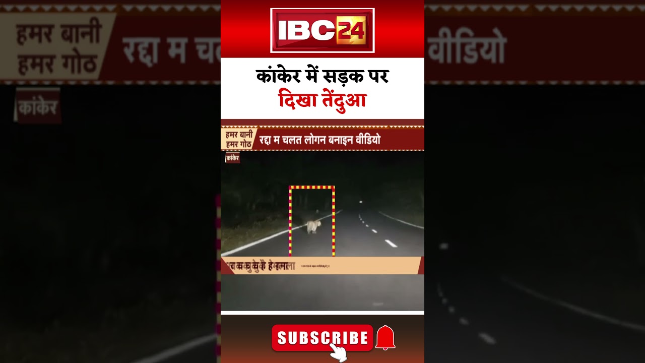 Kanker में बीच सड़क पर दिखा तेंदुआ। 