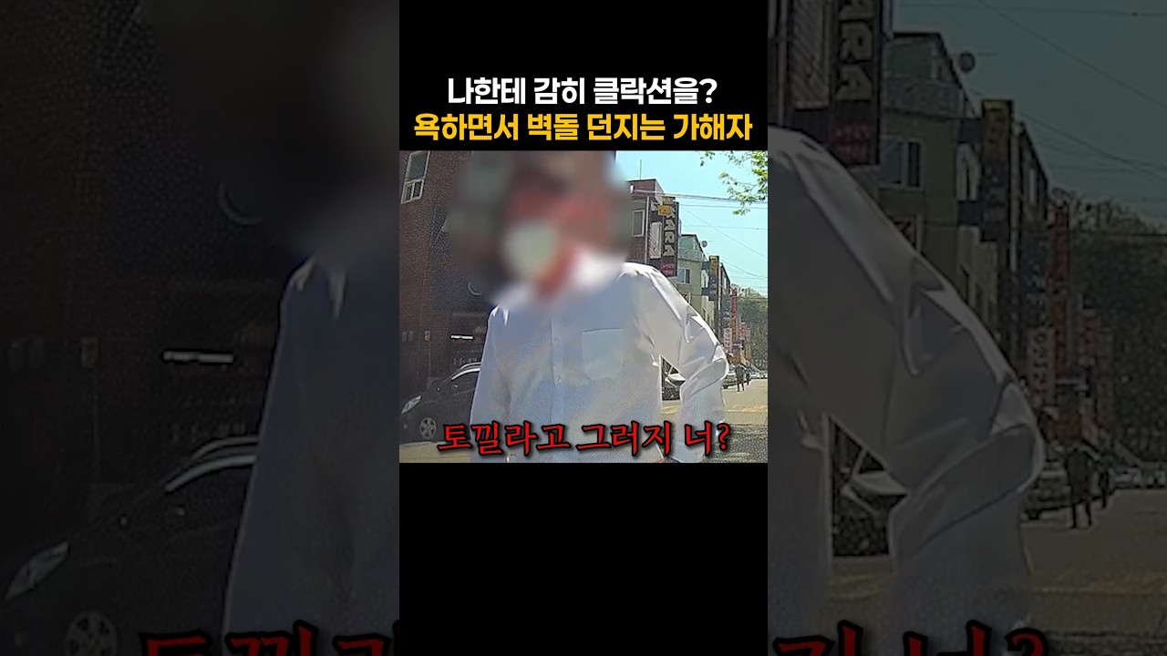 클락션 한번에 벽돌던진 분조장 #블랙박스 #몇대몇