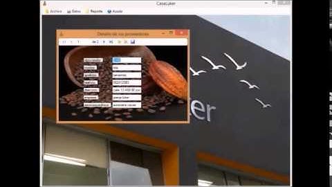 proyecto final logica programacion