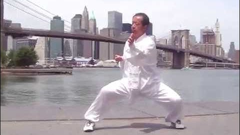 Chen Style Tai Chi Old First Form｜陈氏太极老架一路