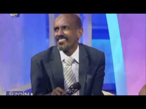 عصام محمد نور الشاغلين فؤادي 