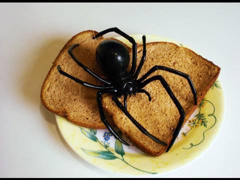 Giant Black Widow Spider