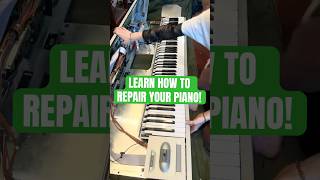 How To Fix Loud Piano Notes | #keyboard #piano #korg #korgtriton #keyboardist