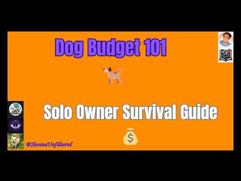Budgeting for Solo Dog Owners