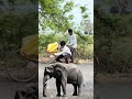 एक राम भक्त कि कहानी 🚩 || जय श्री राम || राम नवमी स्पेशल|| ￼#shorts#viral#trending#video#comedy