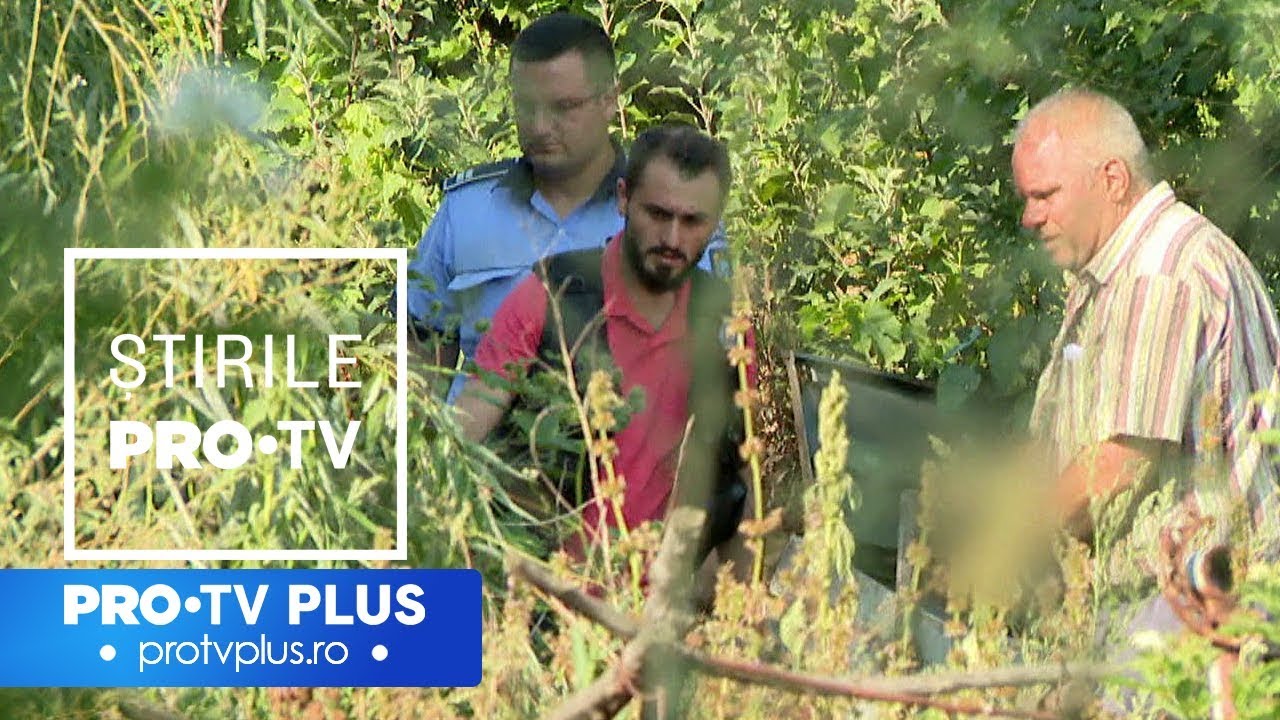 Lanțul de bâlbe care le-a ucis pe Alexandra și Luiza. Ce au făcut de fapt procurorii şi poliţiştii