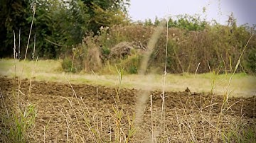 Natural England introduction to subsoiling film