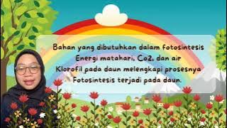 Lagu 'Proses Fotosintesis' IPAS Kurikulum Merdeka