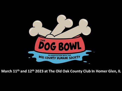The 2023 Dog Bowl