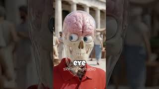 what if you opened a burgerking in ancient greece?