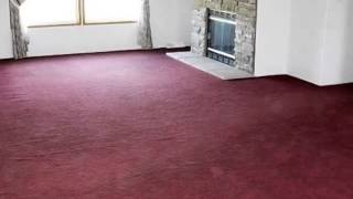 14520 Burt Rd video tour
