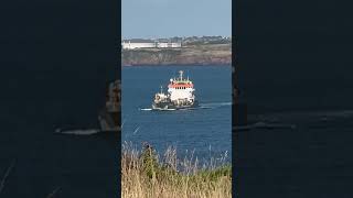 Dredger leaves 4 new pastures #music #viralshorts #subscribe