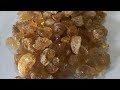 Gum arabic talha acacia seyal