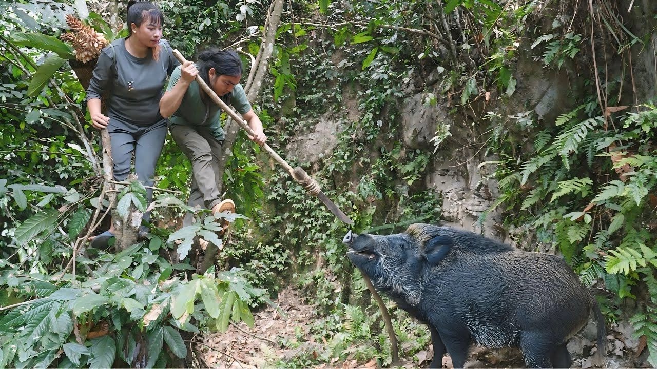 Discovered traces of wild boar while picking bamboo shoots and fishing in the stream with his wife.