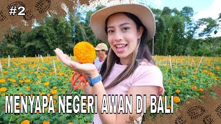MENYAPA NEGERI AWAN DI BALI | JEJAK PETUALANG (13/06/26) Part 2