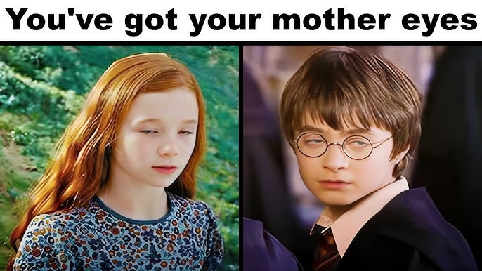 HARRY POTTER MEMES #6 