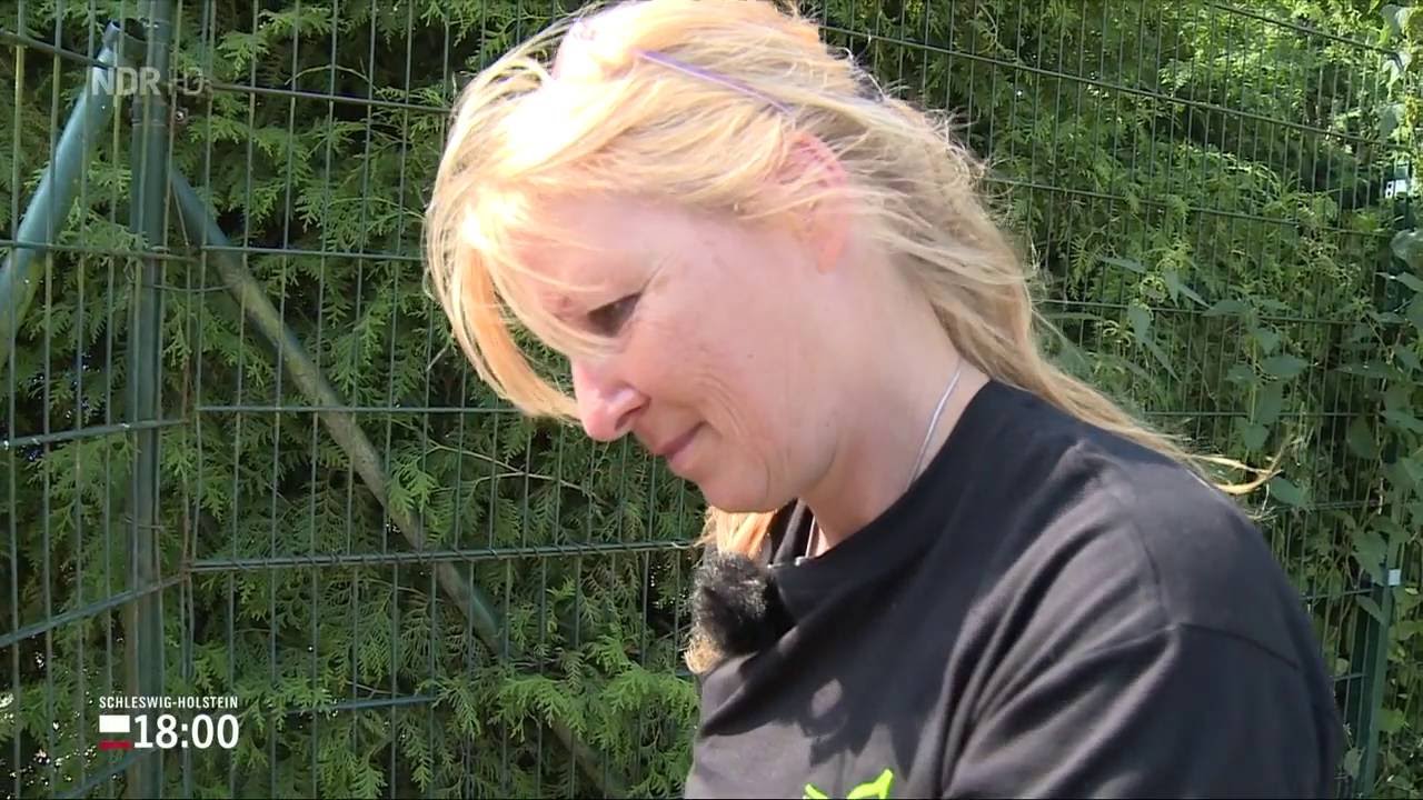 Hundeschule Duwensee auf NDR 