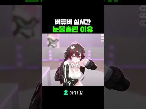 버튜버 실시간 눈물흘린 이유