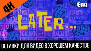 #3 Later / Позже | Spongebob Timecard | Вставка Для Видео | Insert For Video