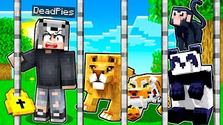 Hayvanat Bahçesi̇ Açip Mi̇lyarder Oldum - Minecraft