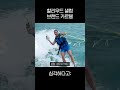 자기들끼리 돌려막는중