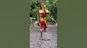 Con rắn hung dữ #rắnhổmang #snake #animals #venomouscreatures #tonngokhong