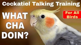 Cockatiel Talking Training | WHATCHA DOIN? | PARROT TALKING TRAINING
