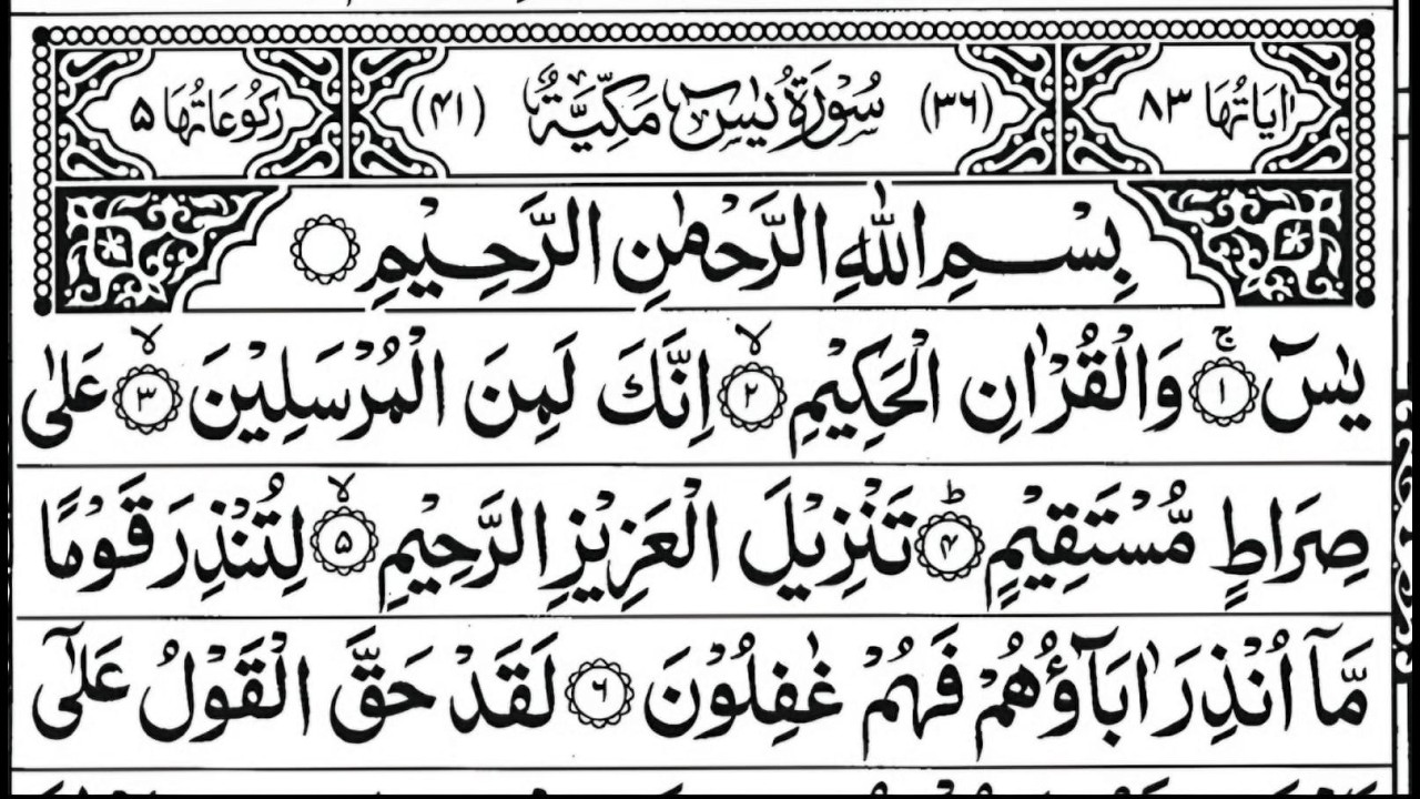 Surah Ya-Sin Live Quran Recitation Live | بث مباشر سورة يس