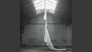 Iris - Philippe Zulaica