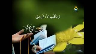 دعاء الإمام الحسين -عليه السلام- في يوم عَرَفة؛ بصوت : الحاج ميثم كاظم "وفَّقَهُ الله" ..