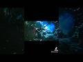 Secret boss🤐won’t believe what’s behind the water fall❗️ #games #tutorial #blackmyth #shorts #epic