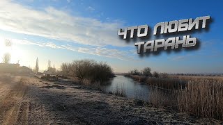 Тарань на поплавок от А до Я....Каналы Новой Одессы часть 2