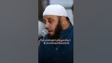 ما لي أدعوكم إلى النجاة وتدعونني إلى النار | القارئ الشيخ محمد همام