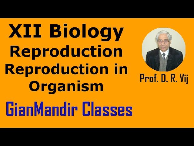 XII Biology | Reproduction in Organism by Inderpal Sir