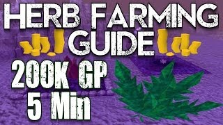 Runescape 3 - Herb Farming Guide 2013 Money Making Guide! Make Easy BANK!