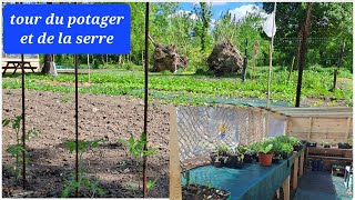 Tour du potager et de la serre