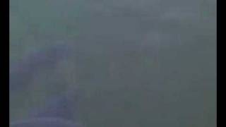 Kinzua Marina Big Fish.3g2