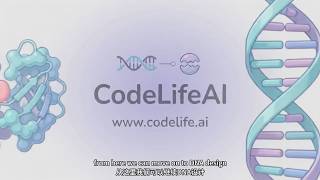 CodeLifeAI Education: Introduction to Protein Design