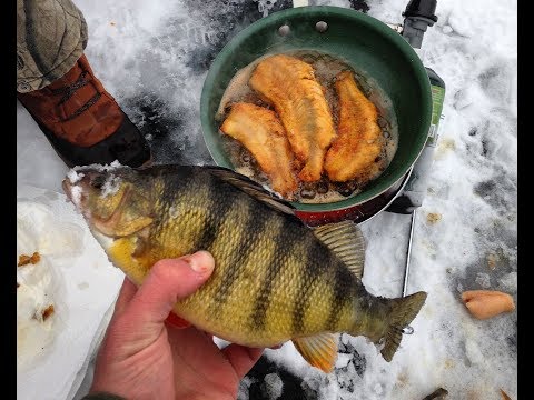 Catch and Cook Perch on the Ice