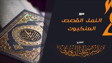 سور النمل القصص العنكبوت للقارئ | ياسر الدوسري