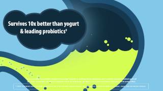 How does Digestive Advantage Lactose Defense Formula Work?