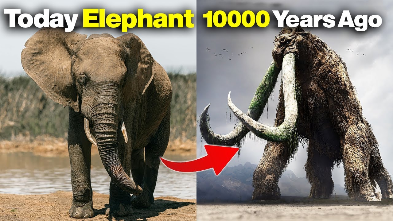 7 самых опасных вымерших животных, которые когда-то господствовали на Земле