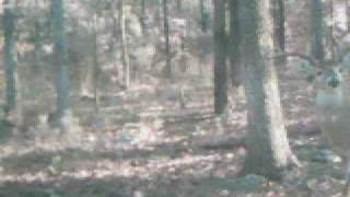 041.AVI