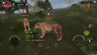 Wild Animals Online - Interview With Rivala Wild Animals Online - Interview With Rivala