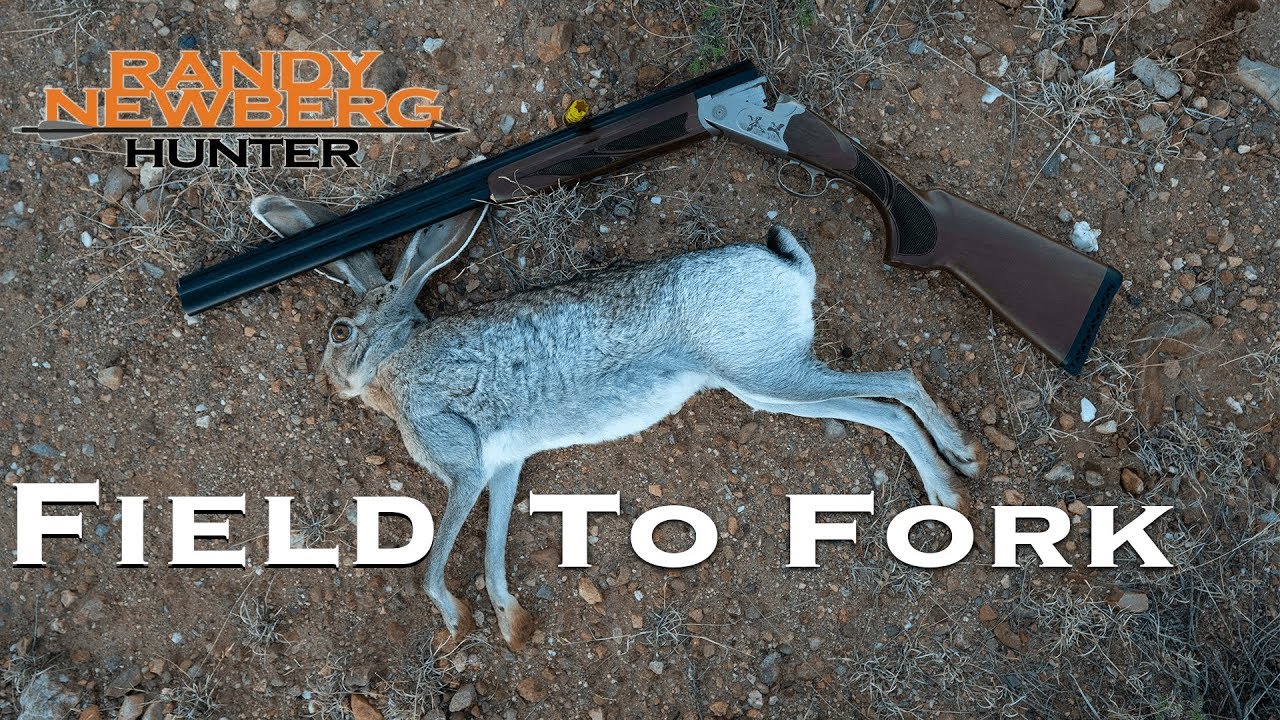 Field to Fork Jackrabbit with Randy Newberg - YouTube