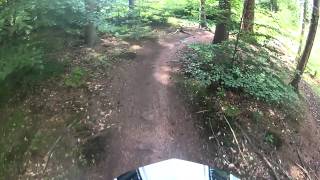 Mountainbike in holte
