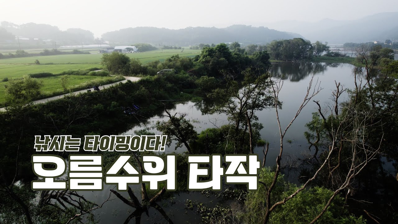 소야408 오름수위 쏟아지는 입질